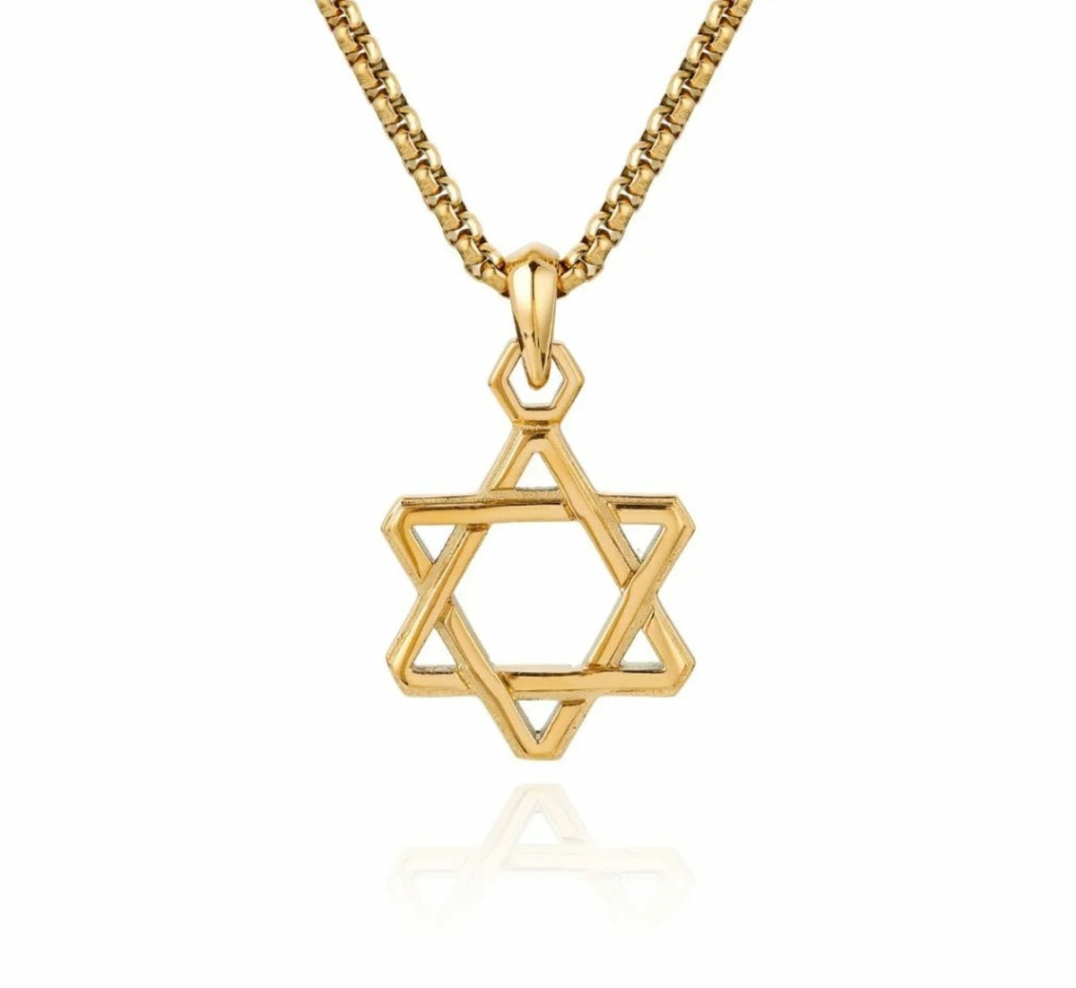Stainless steel Zephyrine Star of David pendant necklace by T.M.J showing the detailed star design on a chain.