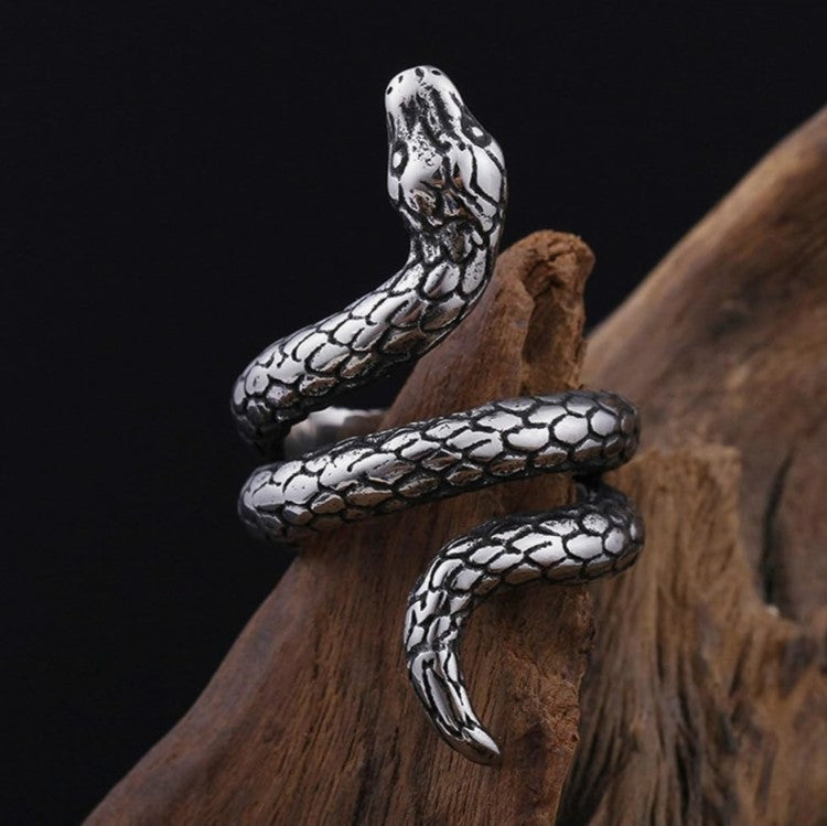 Stainless steel silver snake ring with intricate detailing on matte finish.