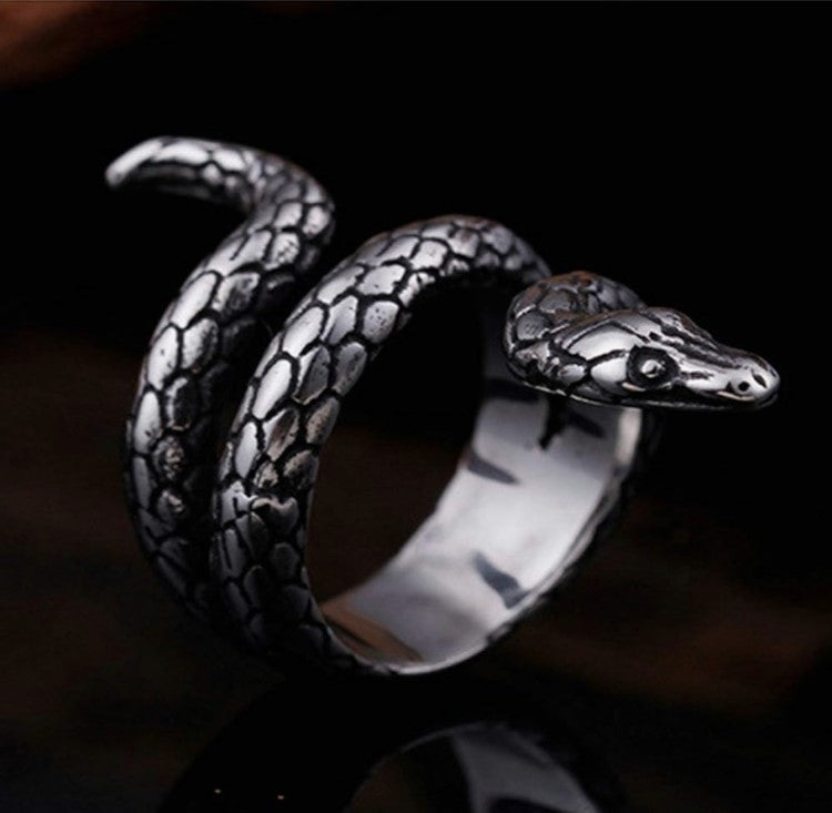 Stainless steel silver snake ring with matte finish and intricate design.