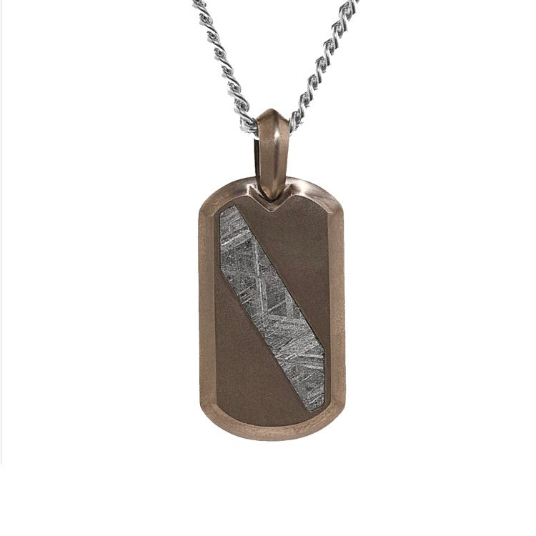 Gibeon Meteorite and Tungsten Pendant